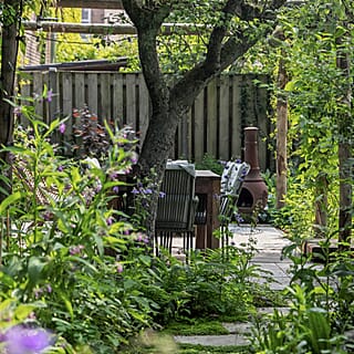 Hovenier Hellevoetsluis