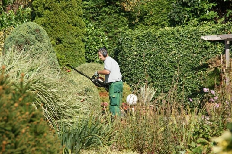 Tuinonderhoud-antwan-tuinprojecten1