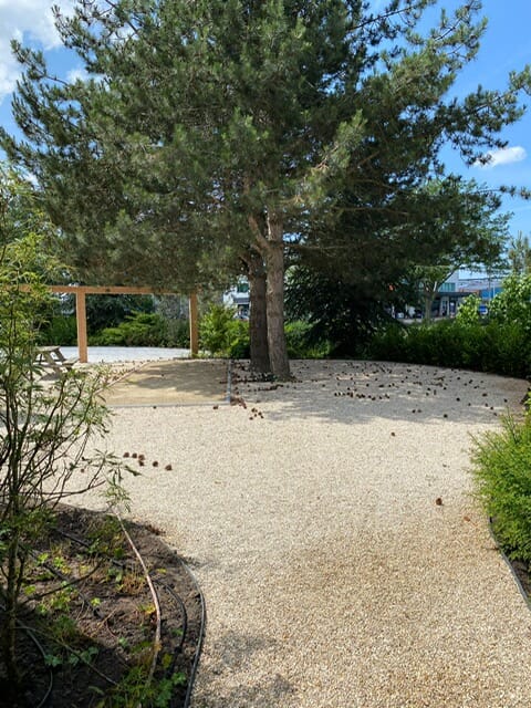 Biergarden, Jeu des boules baan en Osmanthus wolken