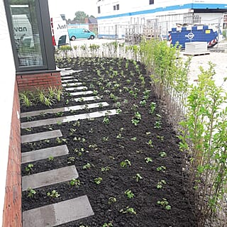 Functionele tuin bij nieuwbouwwoning