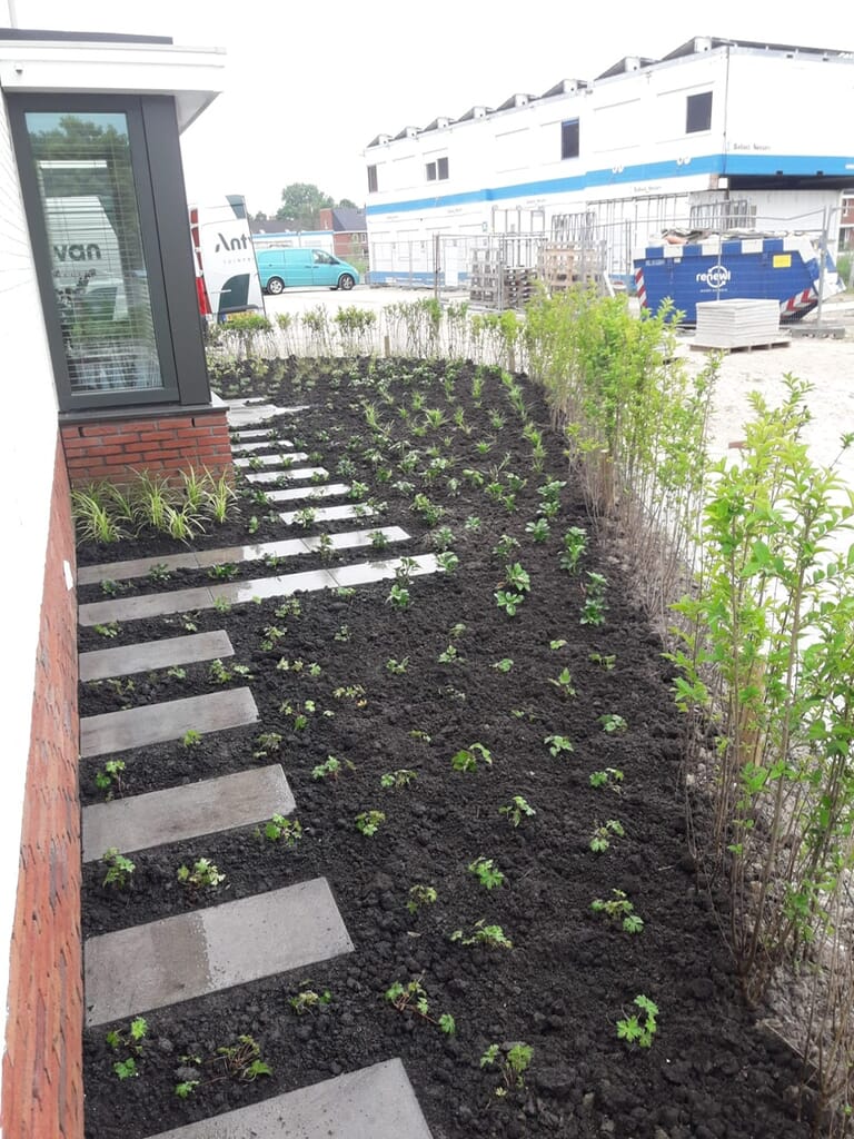 Functionele tuin bij nieuwbouwwoning