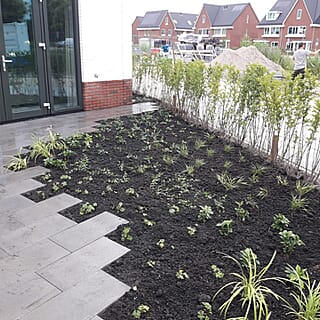 Functionele tuin bij nieuwbouwwoning