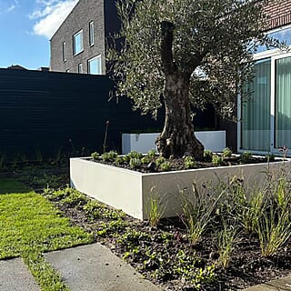 Ruime nieuwbouw tuin