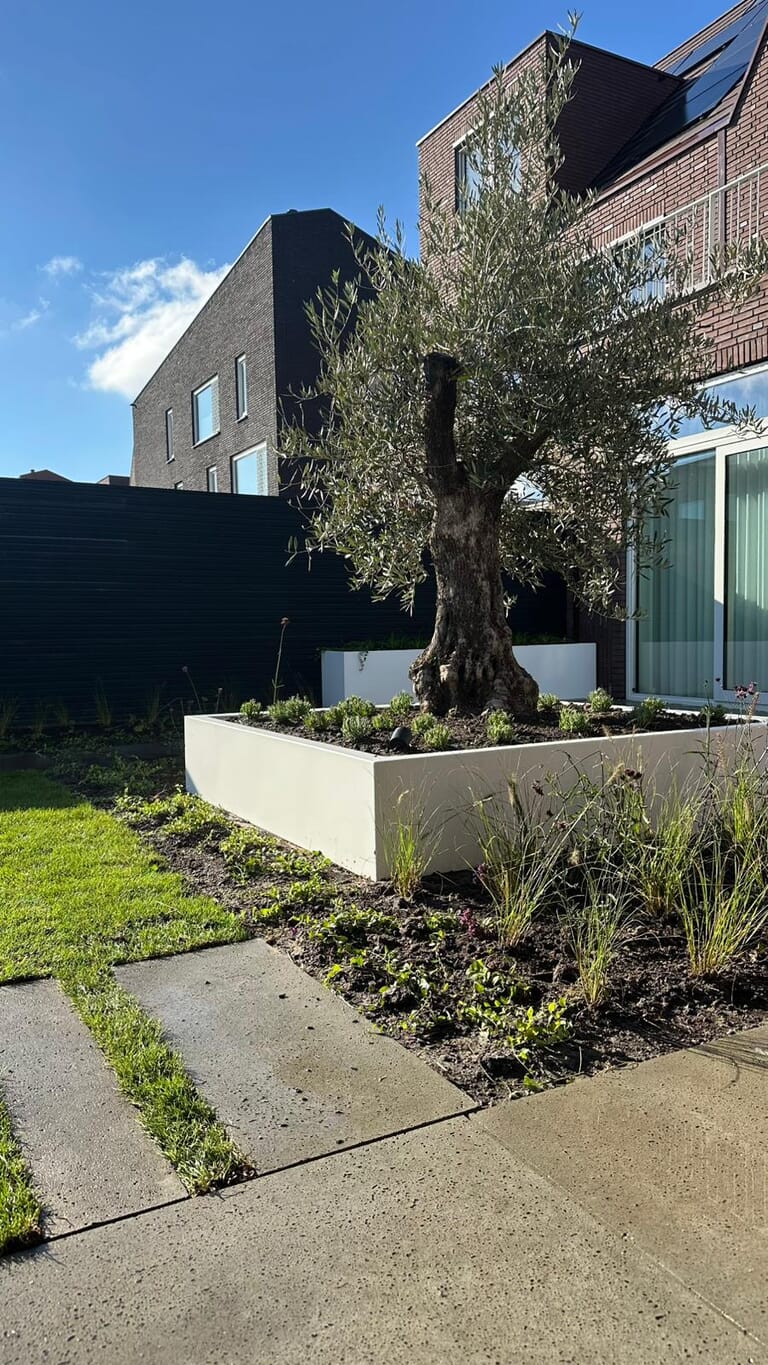 Ruime nieuwbouw tuin