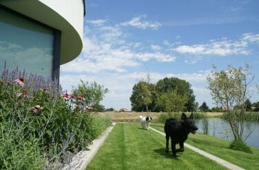 Heerlijke landelijke tuin in Rotterdam