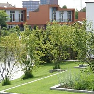 Heerlijke landelijke tuin in Rotterdam