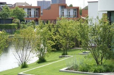 Heerlijke landelijke tuin in Rotterdam