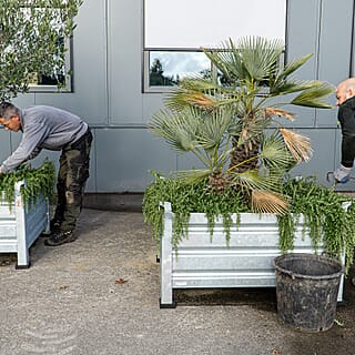 Groen onderhoud van meerdere bedrijventerreinen