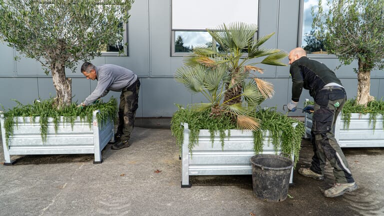 Groen onderhoud van meerdere bedrijventerreinen