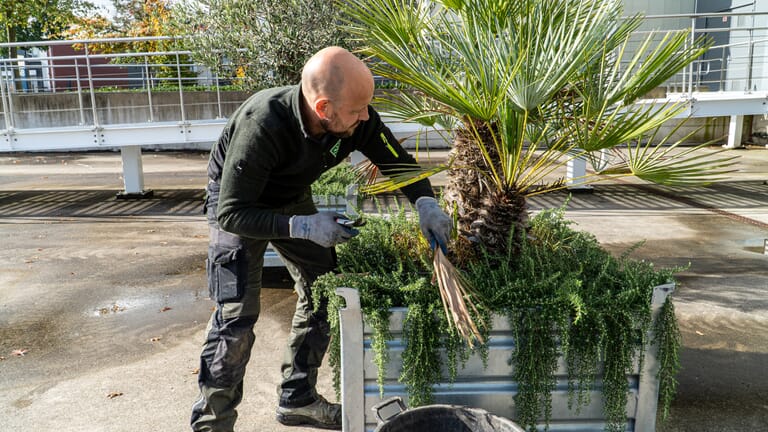 Groen onderhoud van meerdere bedrijventerreinen