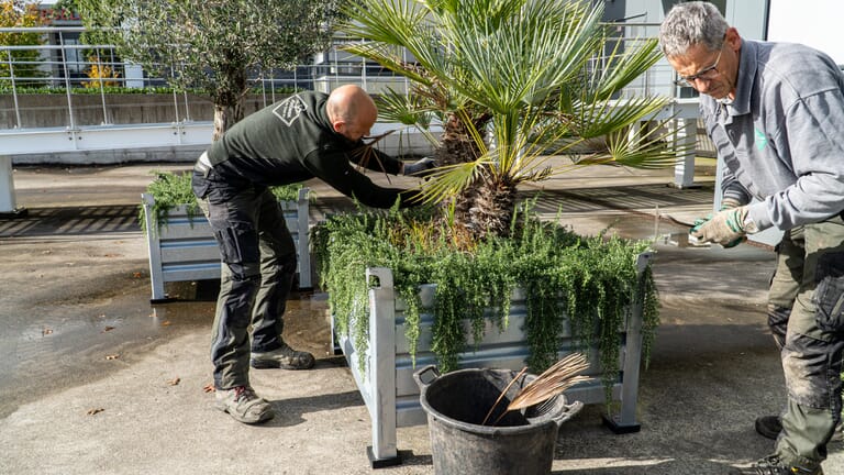 Groen onderhoud van meerdere bedrijventerreinen