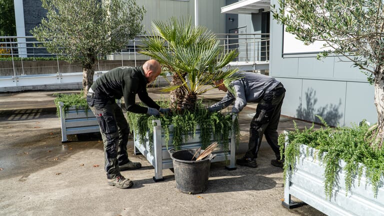 Groen onderhoud van meerdere bedrijventerreinen