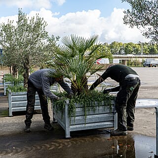 Groen onderhoud van meerdere bedrijventerreinen