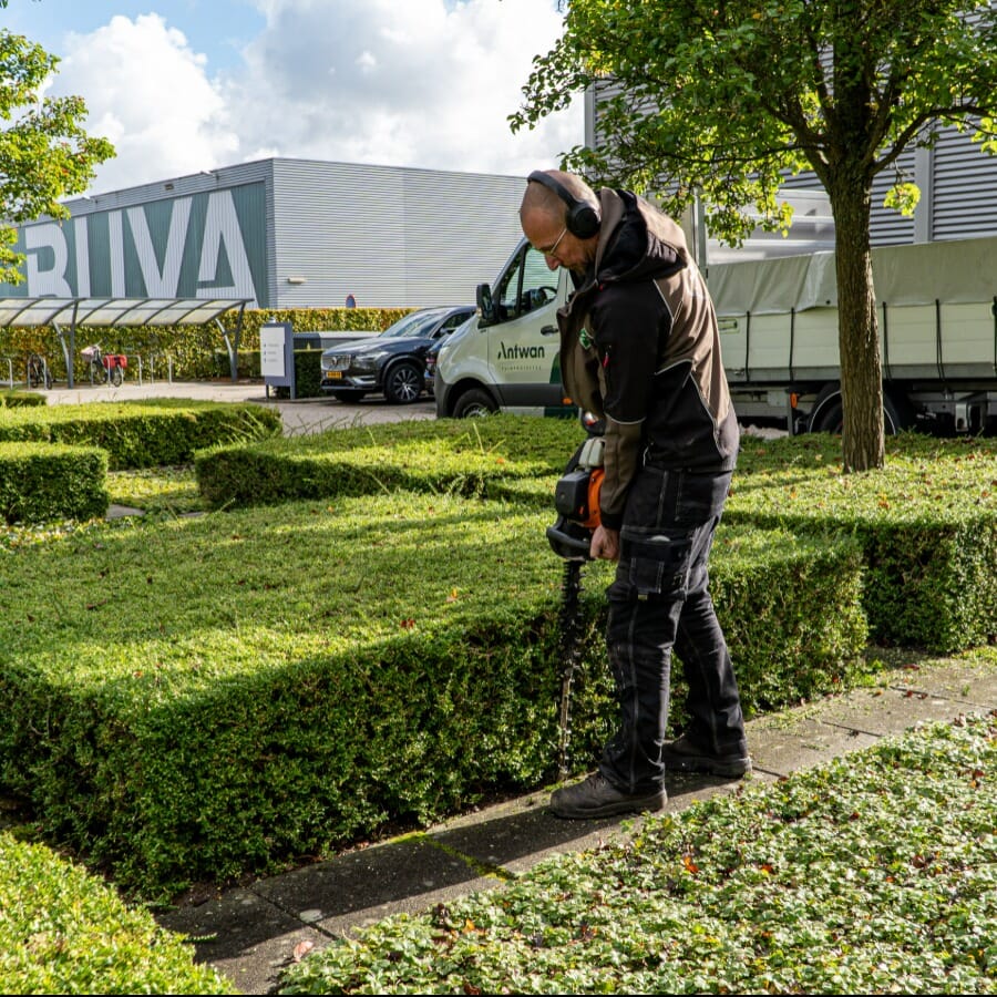 Project: Tuinonderhoud voor zakelijke klant