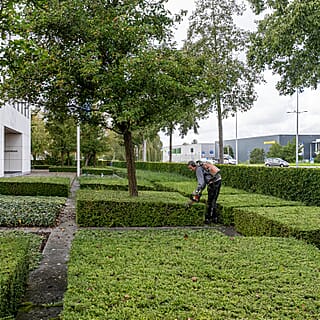 Tuinonderhoud voor zakelijke klant