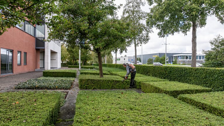 Tuinonderhoud voor zakelijke klant