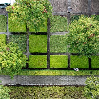 Tuinonderhoud voor zakelijke klant