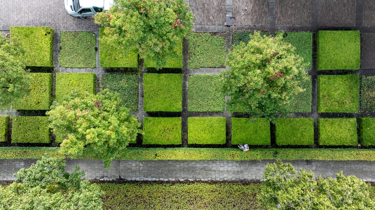 Tuinonderhoud voor zakelijke klant