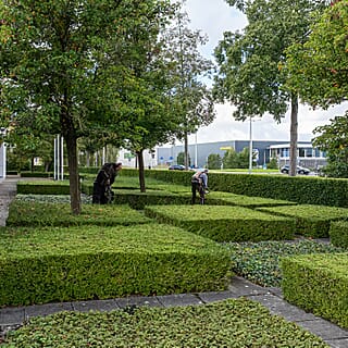 Tuinonderhoud voor zakelijke klant