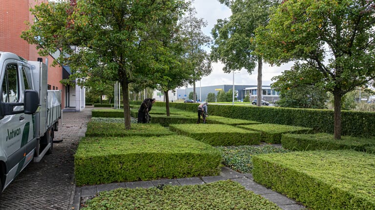 Tuinonderhoud voor zakelijke klant