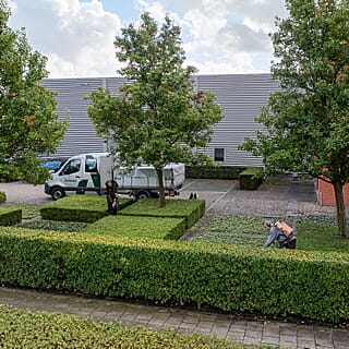 Tuinonderhoud voor zakelijke klant