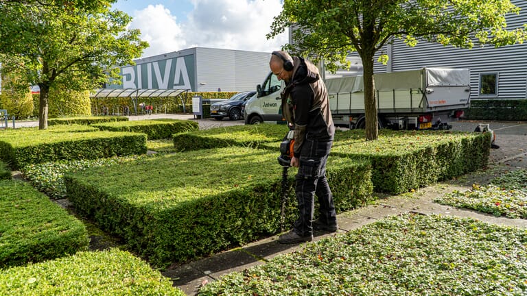 Tuinonderhoud voor zakelijke klant