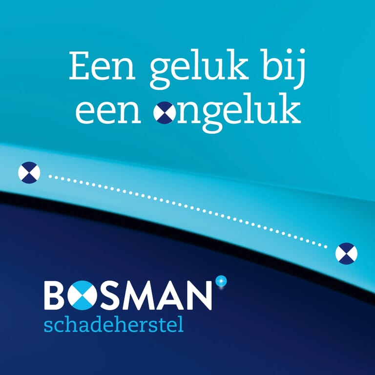eengelukbijeenongeluk bosman