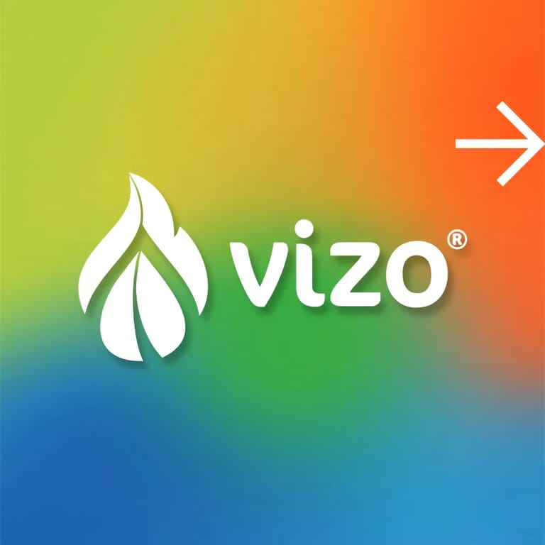 cases_vizo_logo