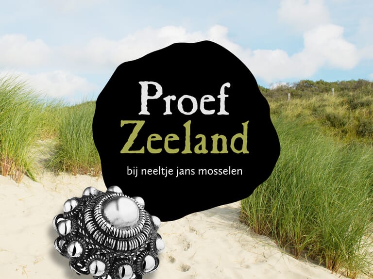 A4 - Cases - Proef Zeeland