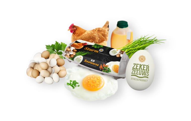 artestiq_cases_sturm