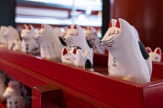 Japan - een bijzondere kennismaking