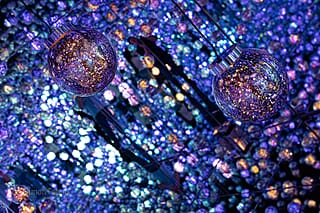 Japan - een bijzondere kennismaking