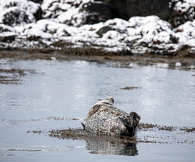 Op de valreep: Winter in IJsland
