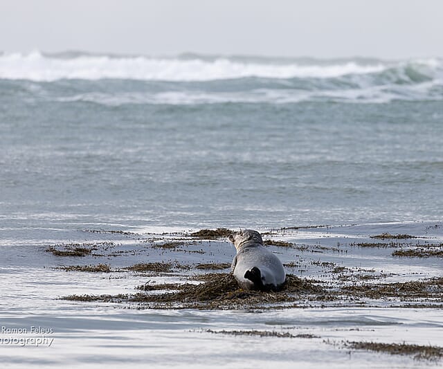 Op de valreep: Winter in IJsland