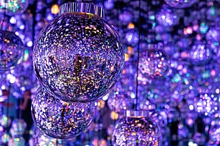 Japan - een bijzondere kennismaking