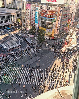 Japan - een bijzondere kennismaking