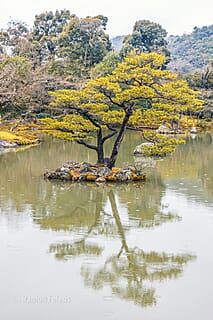 Japan - een bijzondere kennismaking