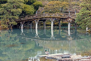 Japan - een bijzondere kennismaking