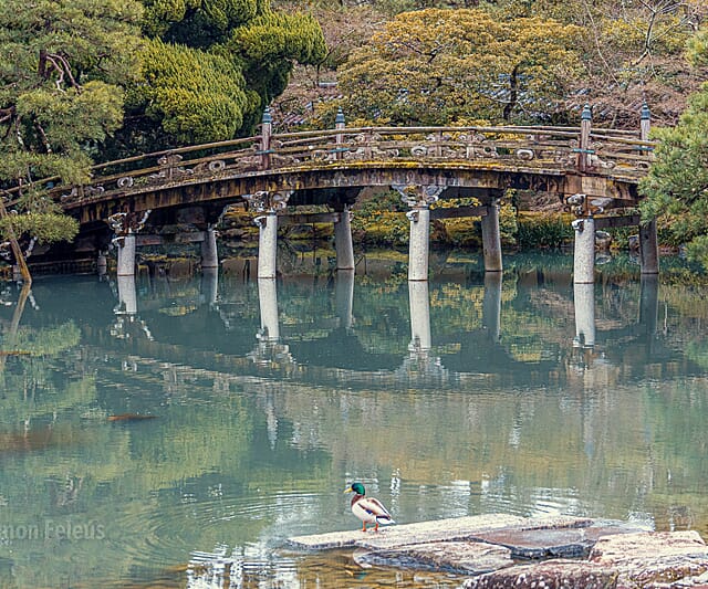 Japan - een bijzondere kennismaking