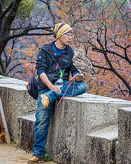 Japan - een bijzondere kennismaking