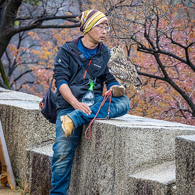 Japan - een bijzondere kennismaking