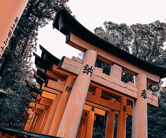 Japan - een bijzondere kennismaking