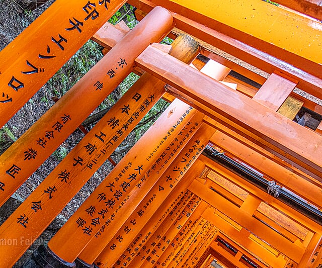 Japan - een bijzondere kennismaking