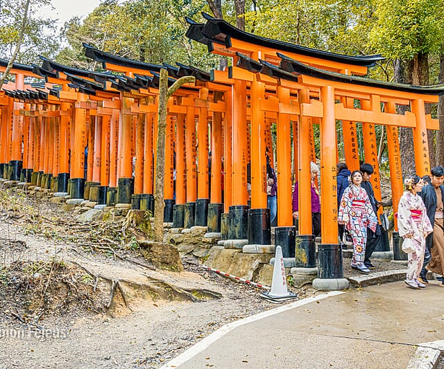 Japan - een bijzondere kennismaking