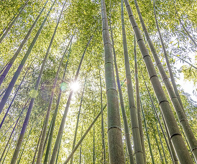 Japan - een bijzondere kennismaking