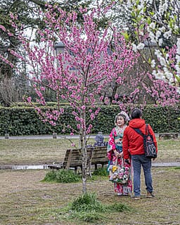 Japan - een bijzondere kennismaking