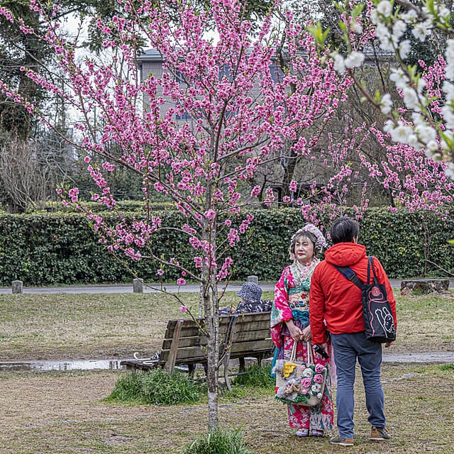 Japan - een bijzondere kennismaking