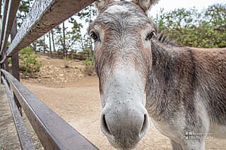 Roadtrip Hongarije 2021