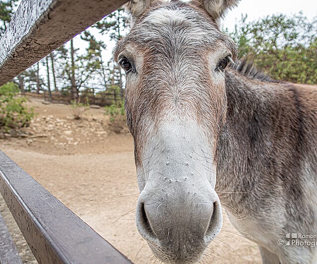 Roadtrip Hongarije 2021