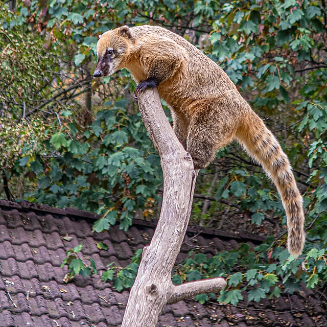 Roadtrip Hongarije 2021